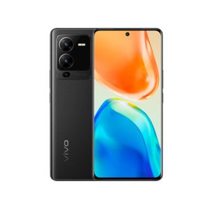 WS_Vivo V25 5G 8/256GB(V2202)Diamond Black